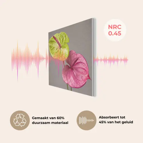 Planten - Anthurium - Groen - Roze PET vilt klein -USP_NL