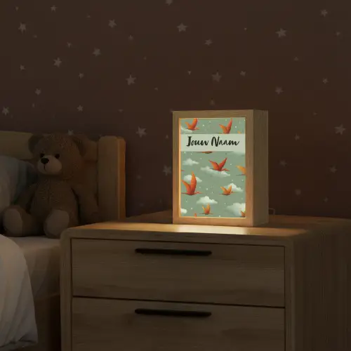 Dino - Oranje - Patroon - Wolken Light Box met kabel (Kinderlampje) klein -sfeer1_kind