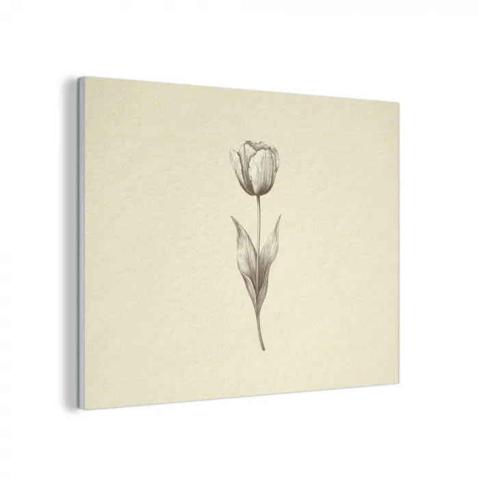 Illustratie - Tulp - Zwart PET vilt klein -3d
