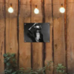 Discobal - Gezicht - Glamour - Zwart tuinposter los doek klein -sfeer1