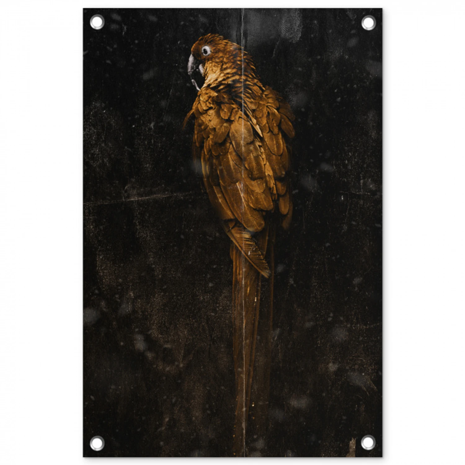 Papegaai - Vogel - Foto tuinposter los doek klein -3d