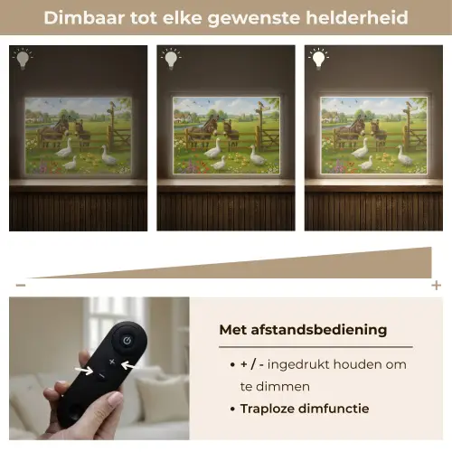 Ezels - Ganzen - Kleurrijk Light Box met batterij (Wandlamp) middel -USP_dimbaarNL
