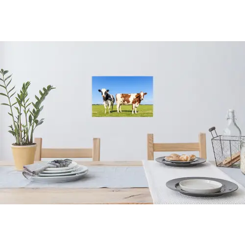 Koeien - Boerderij - Gras- Natuur - Dieren Muursticker klein -eettafel