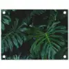 Bladeren - Tropisch - Monstera - Jungle tuinposter los doek klein -3d
