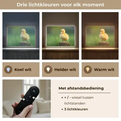 Kuiken - Eend - Geel - Gras Light Box met batterij (Wandlamp) middel -USP_lichtkleurNL
