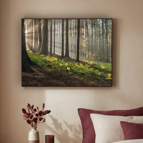 Zon - Takken - Bomen - Bos - Natuur Textielframe zwart klein -sfeer1