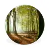 Bos - Zon - Seizoenen - Landschap Wandcirkel kunststof plaat 5mm dik klein -3d