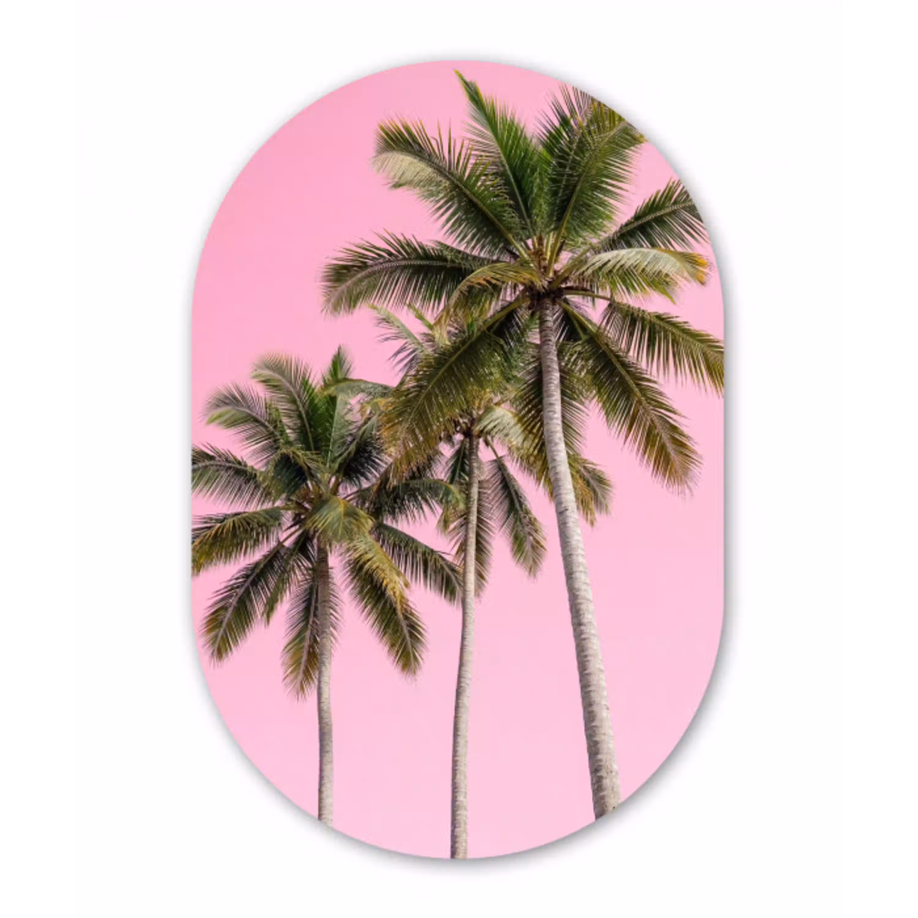 Palmboom - Tropisch - Pink Wandcirkel Ovaal Aluminium middel -3d