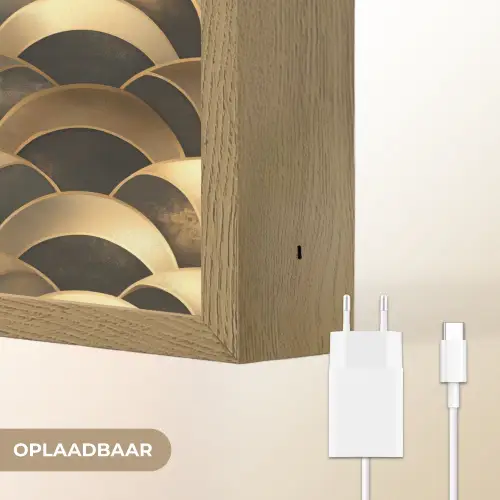 Schubben - Structuur - Goud Light Box met batterij (Wandlamp) middel 907 -USP_websiteoplaadbaarNL