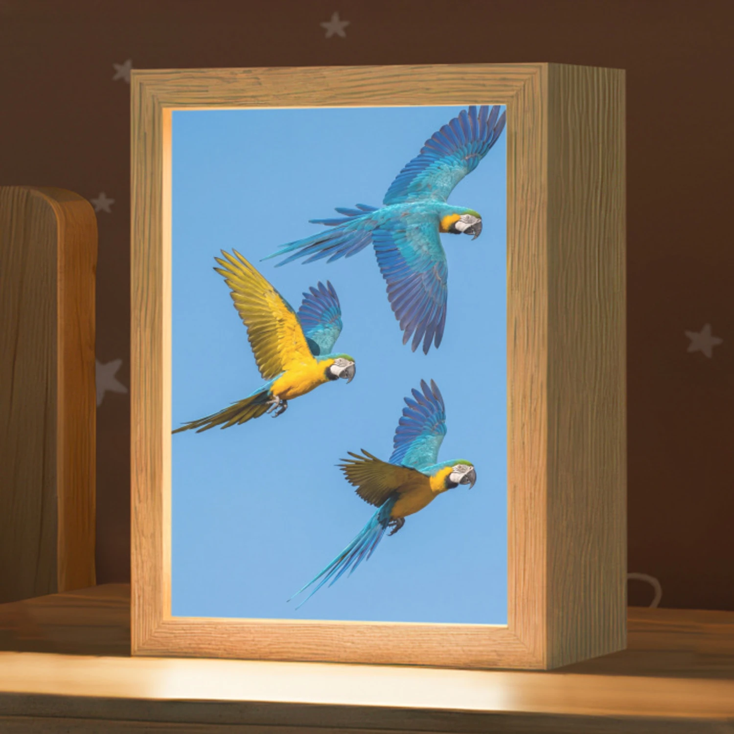 Papagaai - Vliegen - Blauw - Geel Light Box met kabel (Kinderlampje) klein -zzz_3d_website