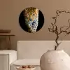 Luipaard - Dieren - Portret - Wilde dieren - Zwart Wandcirkel kunststof plaat 5mm dik klein -sfeer1