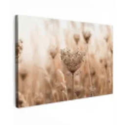 Schermbloem - Droogbloem - Winter - Beige - Minimalistisch canvas 2cm klein -z3d
