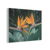 Paradijsvogel - Bloem - Exotisch PET vilt klein -3d