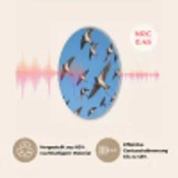 Zwaluwen - Vliegen - Blauw Akoestische PET Vilt - Rond klein -USP_DE