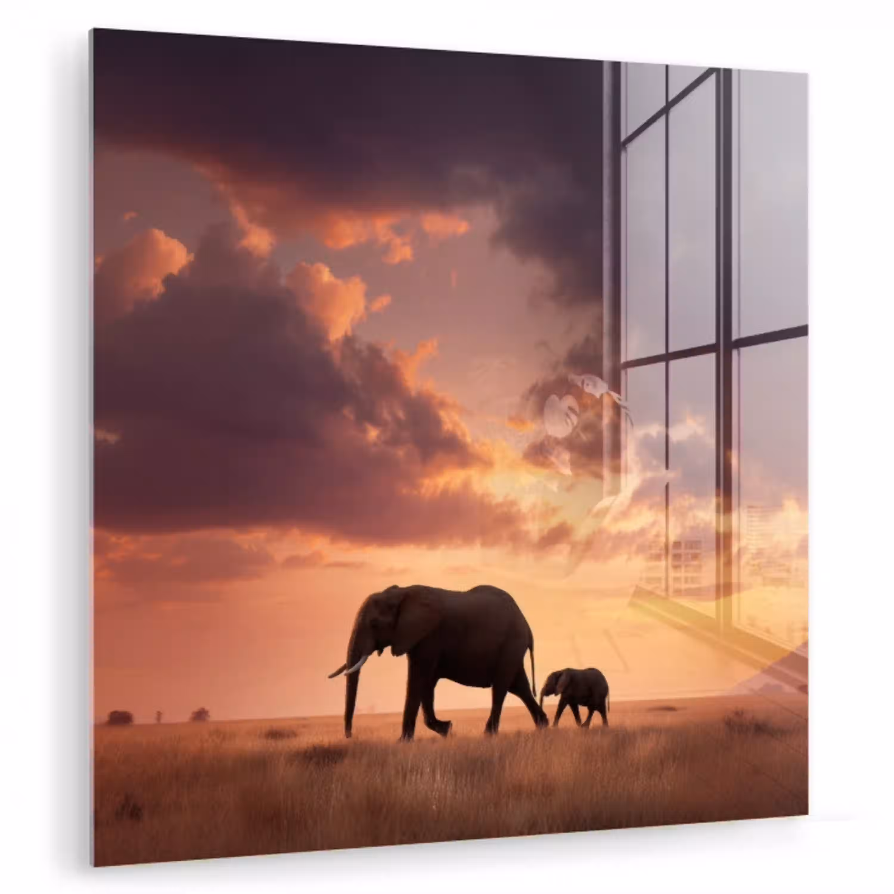 Olifanten - Grasland - Zonsondergang plexiglas 5mm klein -zzzproduct_nieuw