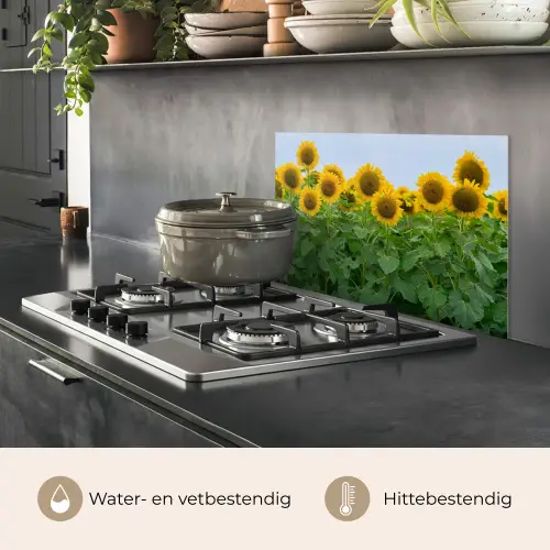 Zonnebloemen - Geel - Natuur keuken achterwand spatscherm klein -usp_NL
