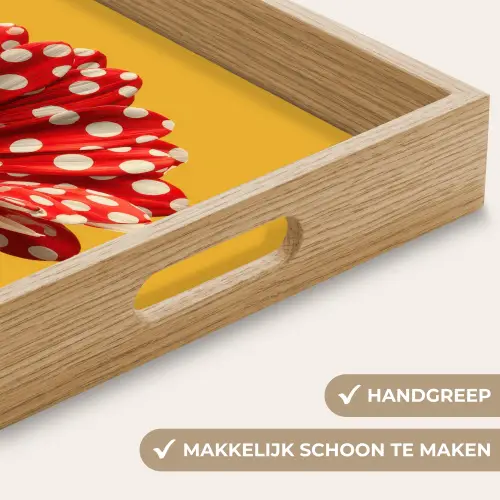 Bloem - Rood - Stippen Dienblad Rechthoek middel -USP_HandgreepNL
