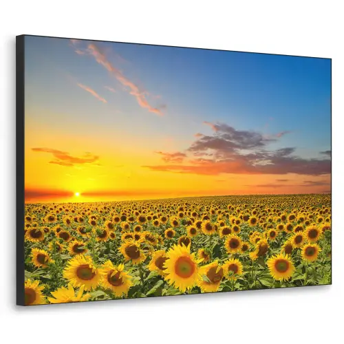Bloemen - Zonnebloem - Zonsondergang - Nacht - Oranje Textielframe zwart klein -3d