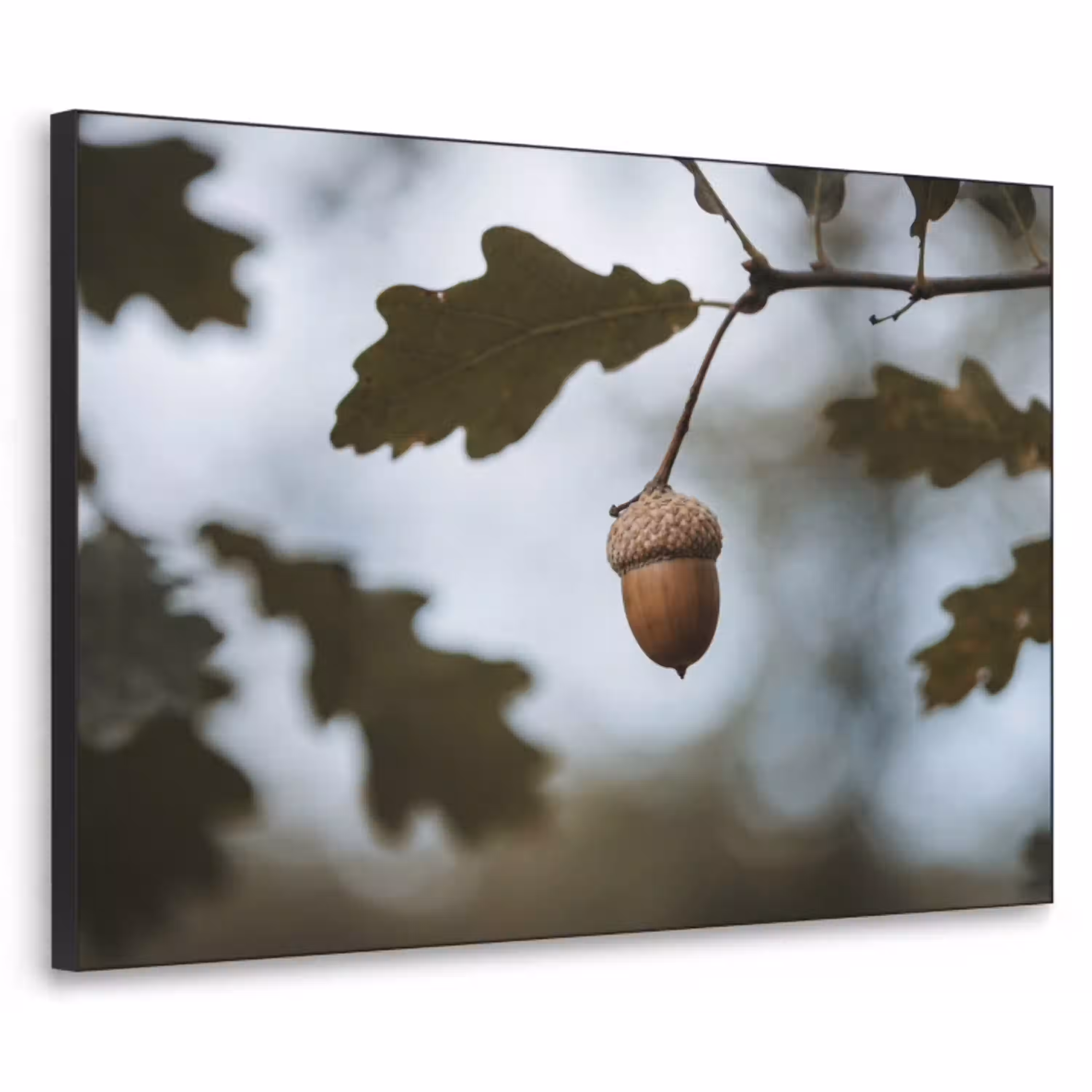 Eikel - Eikenblad - Bos - Herfst - Natuur Textielframe zwart klein -3d
