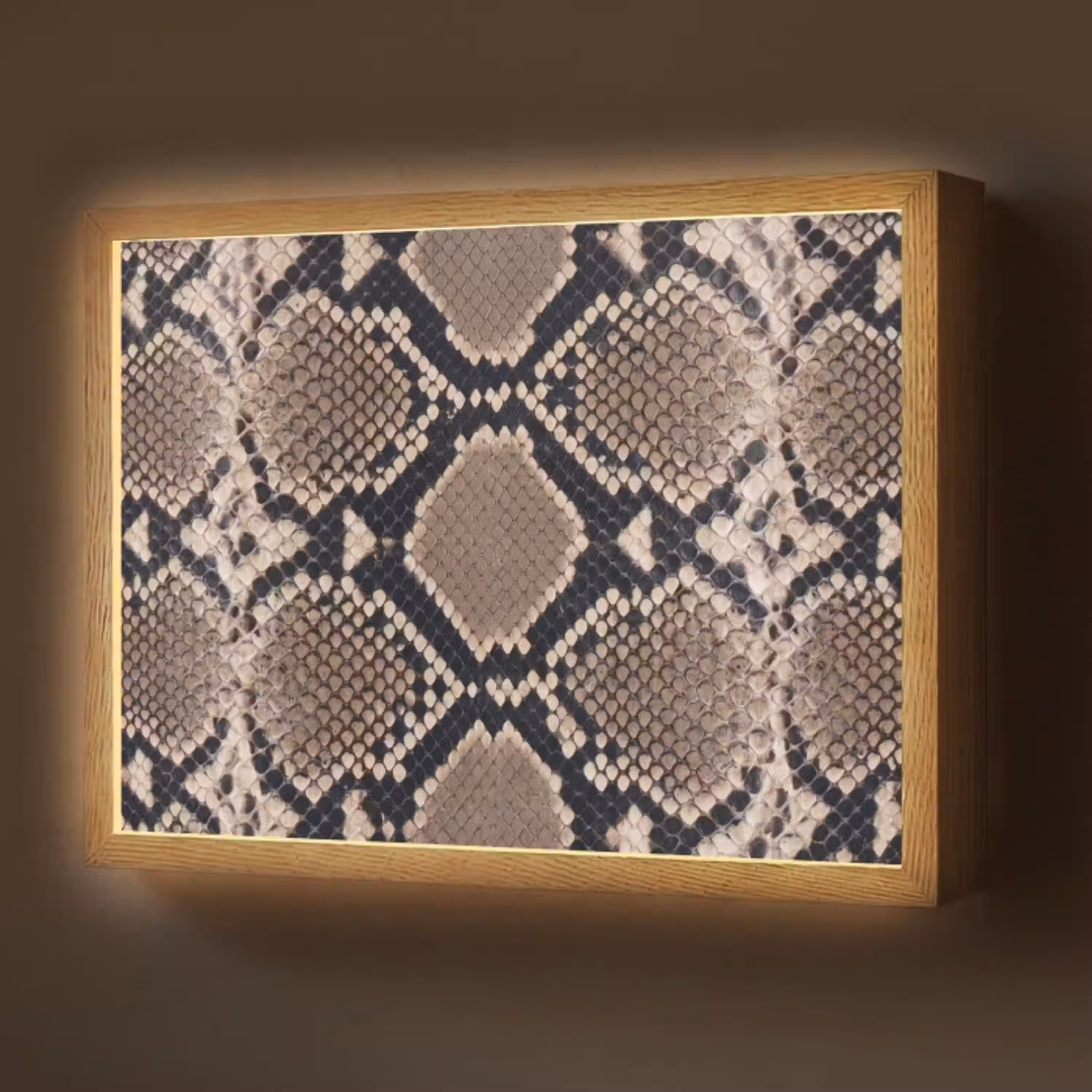 Slangenprint - Python - Bruin Light Box met batterij (Wandlamp) middel -z3d_website