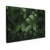 Sparrentakken - Knoppen - Naalden - Groen canvas 2cm klein -z3d