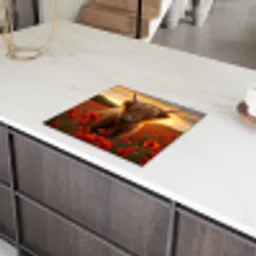 Schotse hooglander - Rozen - Bloemenveld - Zonsondergang Inductie beschermer vinyl 3mm middel -sfeer8