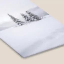 Fijnsparren - Sneeuw - Winter - Landschap - Stilte fotolijst zwart zonder passe partout klein -zsfeer6