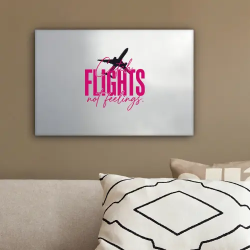Catch flights not feelings - Vliegtuig - Roze canvas 2cm klein -sfeer3