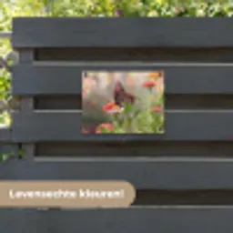 Vlinder op zomerbloem tuinposter los doek klein -sfeer3