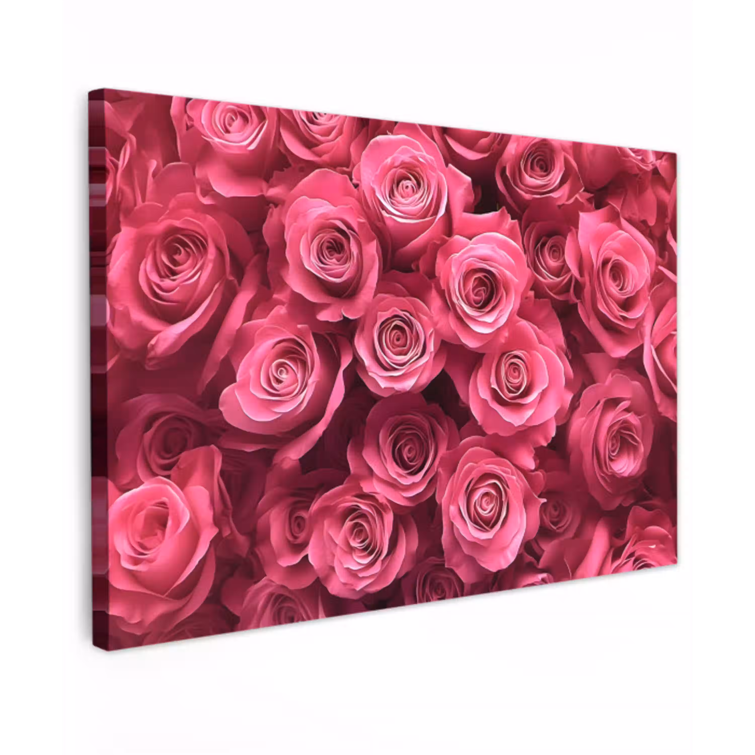 Rozen - Pink - Bloem Tuinposter op houten frame 2 cm dik klein -3d