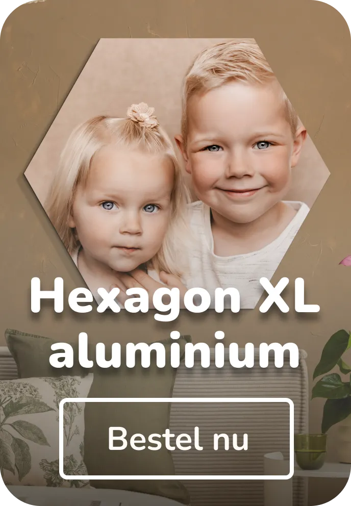 Foto op aluminium hexagon XL