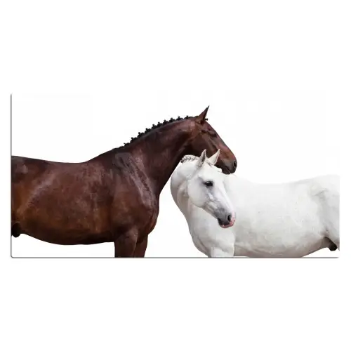Paard - Modern - Balans Muismat XXL klein -3d_leeg