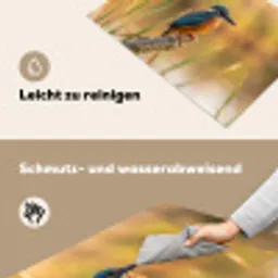 IJsvogel - Tak - Water - Kleurrijk - Levendig Inductie beschemer met haakjes klein -ky-schoon-de