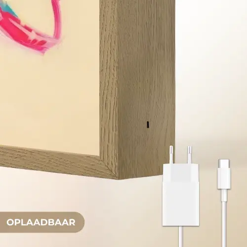 Camera - Memories - Roze - Geschilderd Light Box met batterij (Wandlamp) middel -USP_websiteoplaadbaarNL