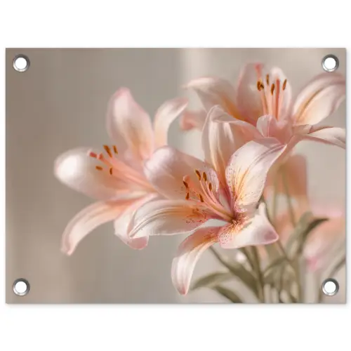 Lelies - Meeldraden - Roze - Wazig tuinposter los doek klein -3d