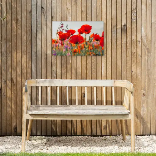 Bloeipracht van Klaprozen Tuinposter op houten frame 2 cm dik klein -sfeer4
