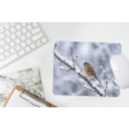 Vogel - Tak - Sneeuw - Winter muismat rubber klein -witbureau
