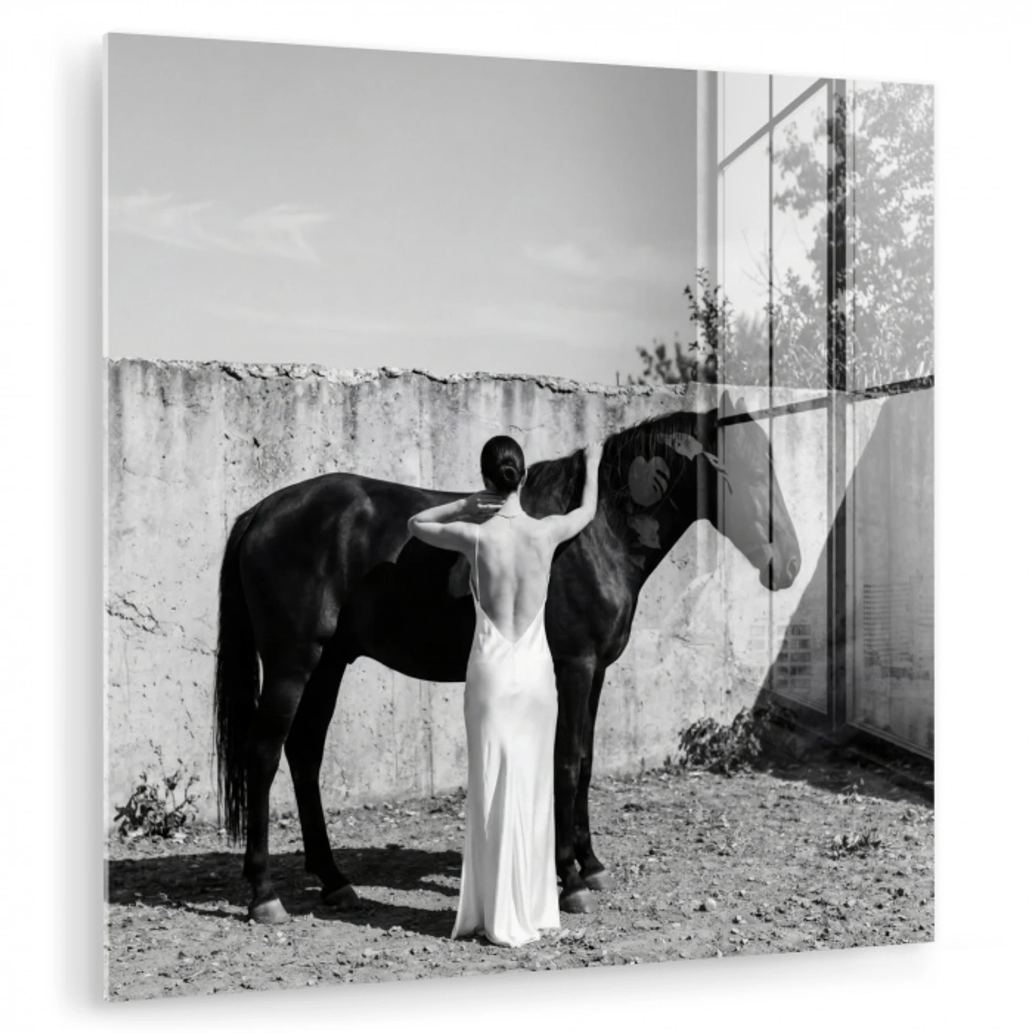 Vrouw - Paard - Artistiek plexiglas 5mm klein -zzzproduct_nieuw