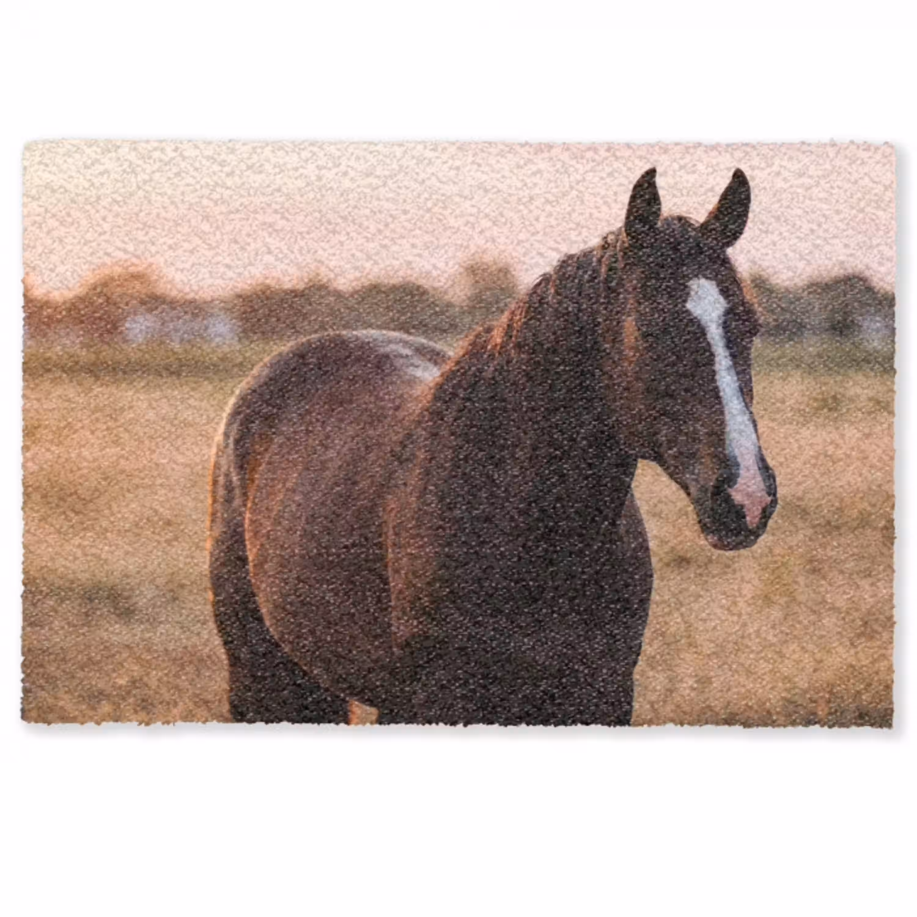 Paard - Zonsondergang - Bruin Deurmat klein -zkaufland3d
