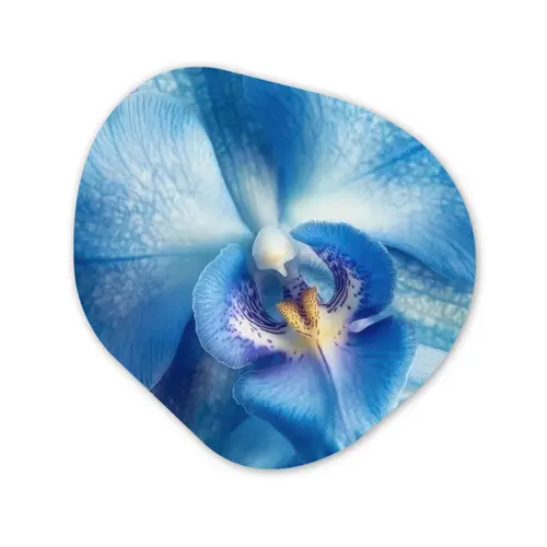 Blauw - Orchidee - Elegeant Wandcirkel Organisch Forex 3mm klein -3d