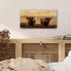 Schotse hooglanders - Heide - Landschap - Dieren plexiglas 5mm klein -sfeer4