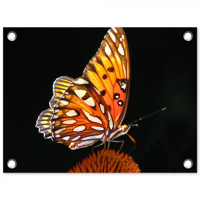 Vlinder op bloem tuinposter los doek klein -3d