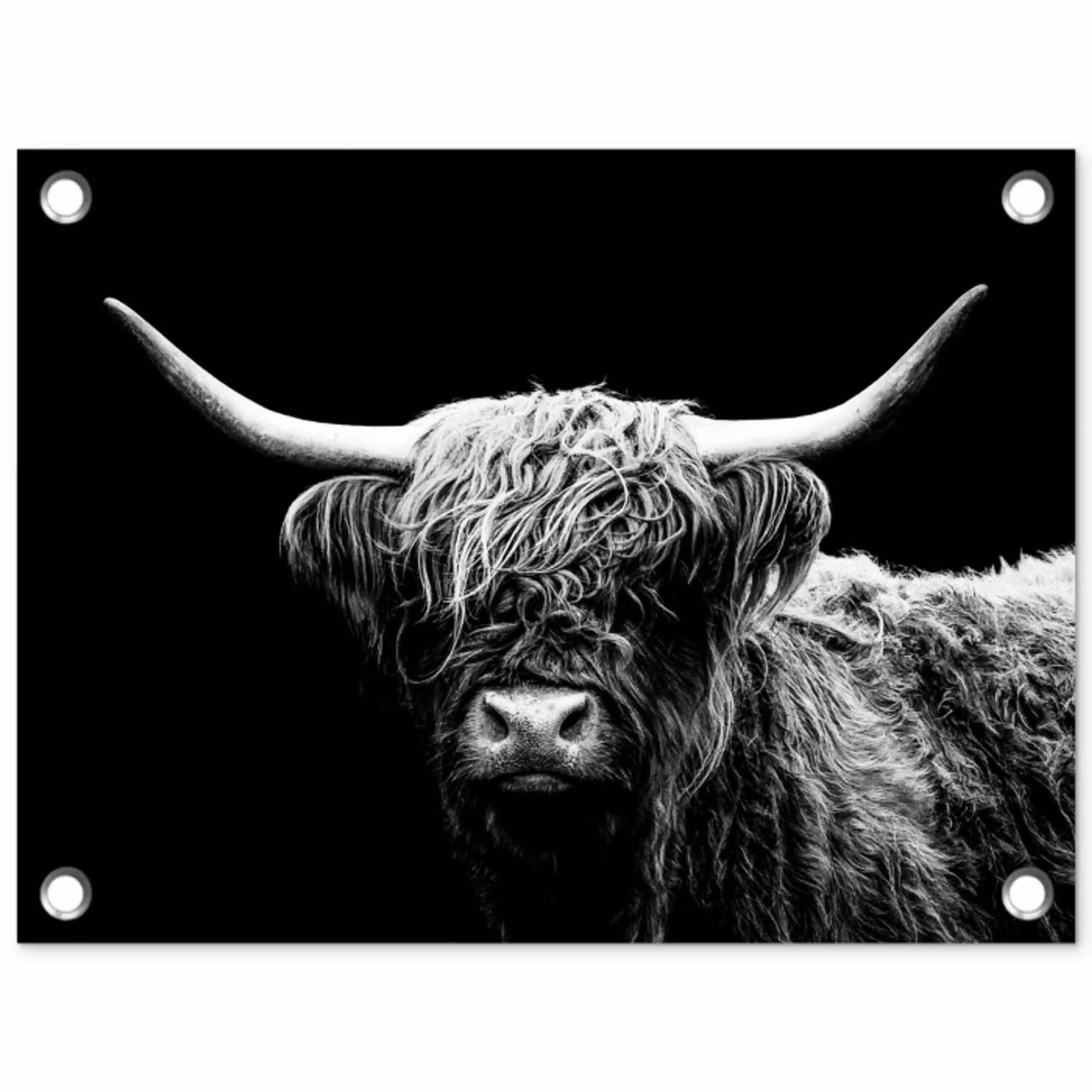 Schotse Hooglander - Koe - Zwart - Wit - Dieren tuinposter los doek klein -3d