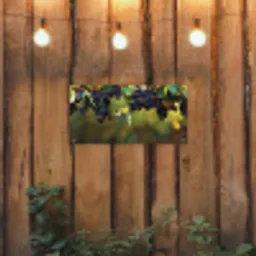 Druiven - Wijn - Natuur - Groen tuinposter los doek klein -sfeer1