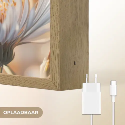 Vlinder - Bloem - Oranje Light Box met batterij (Wandlamp) middel -USP_websiteoplaadbaarNL