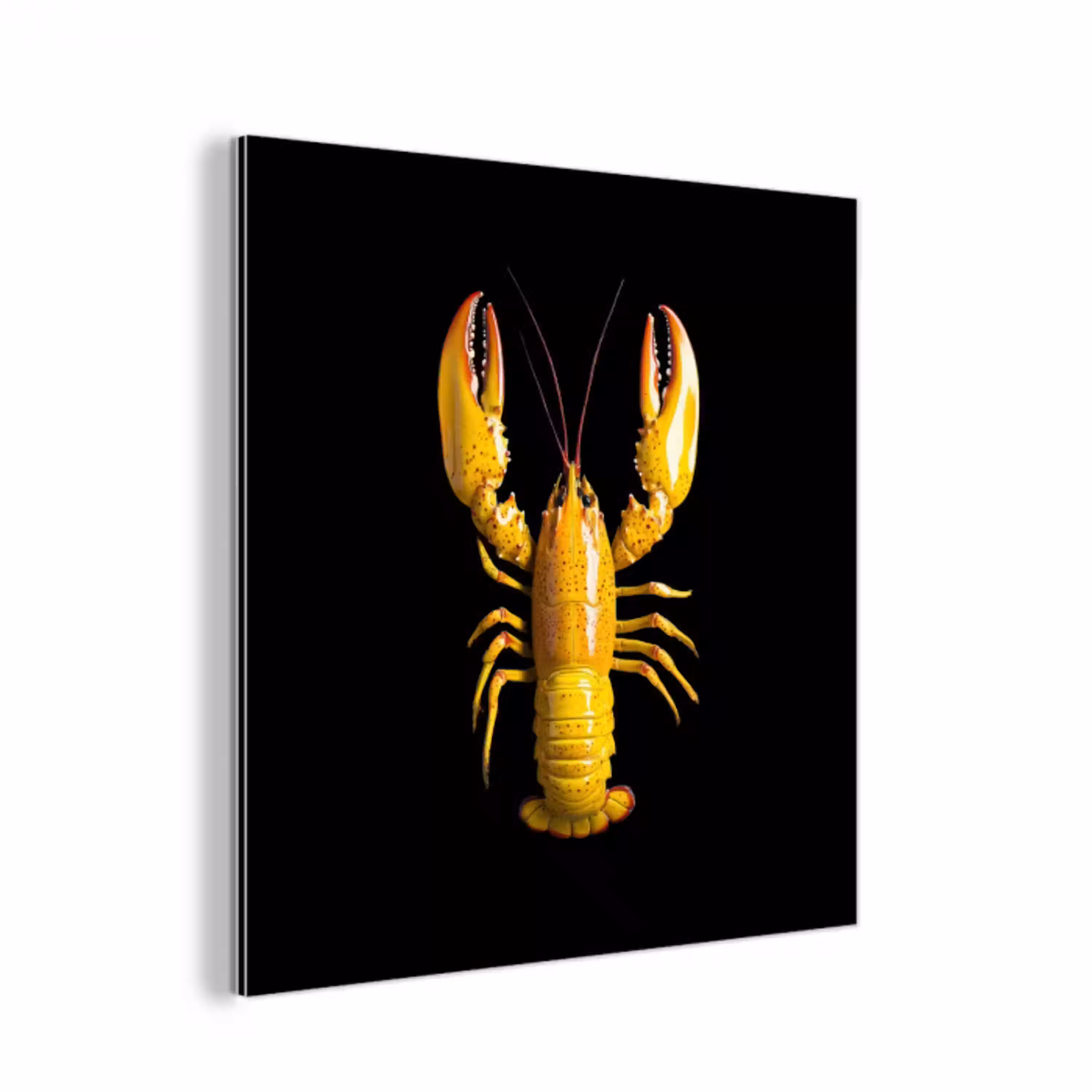Kreeft - Geel - Stippen - Effen aluminium wit klein -3d