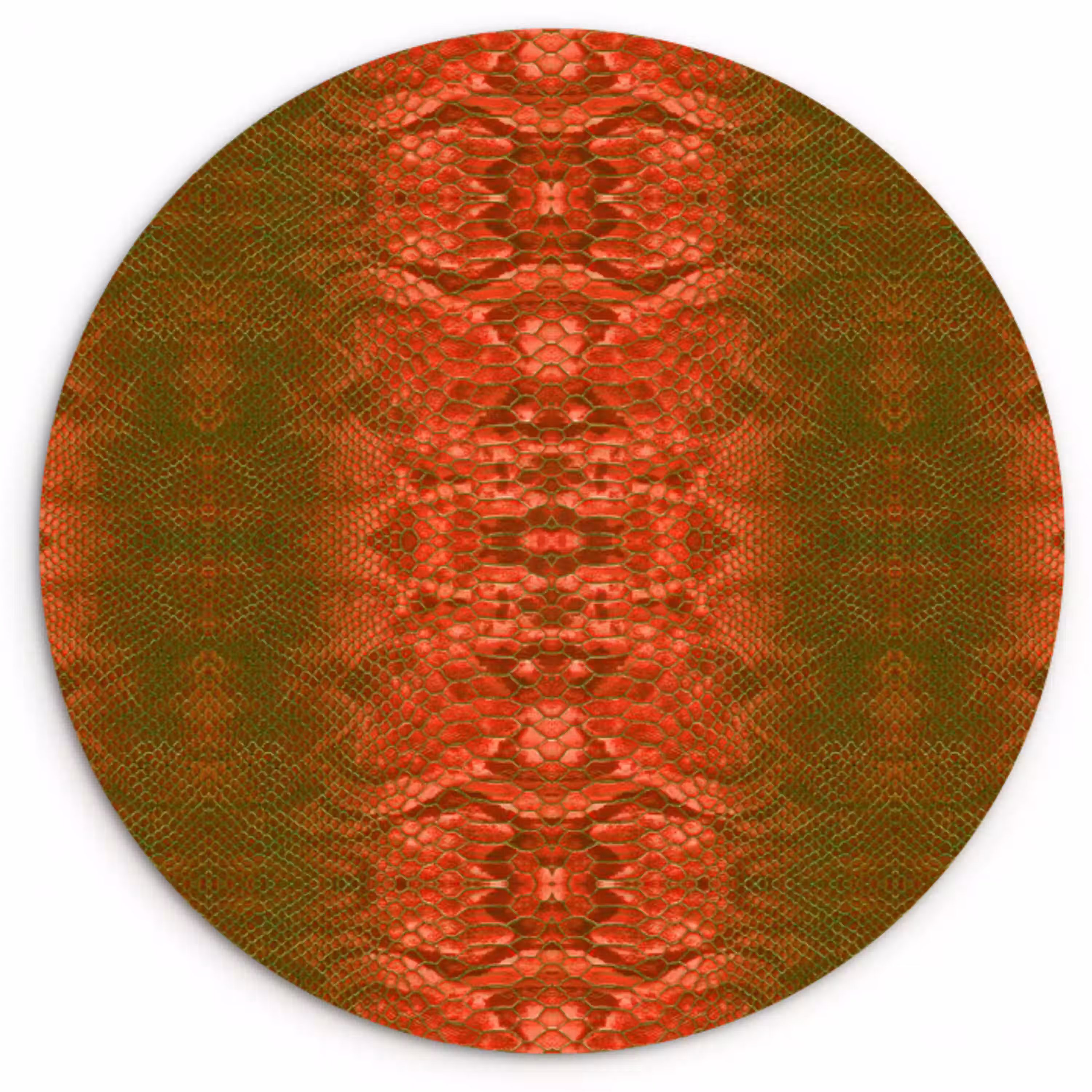 Slang - Boa - Groen - Rood Wandcirkel plexiglas klein 852 -3d