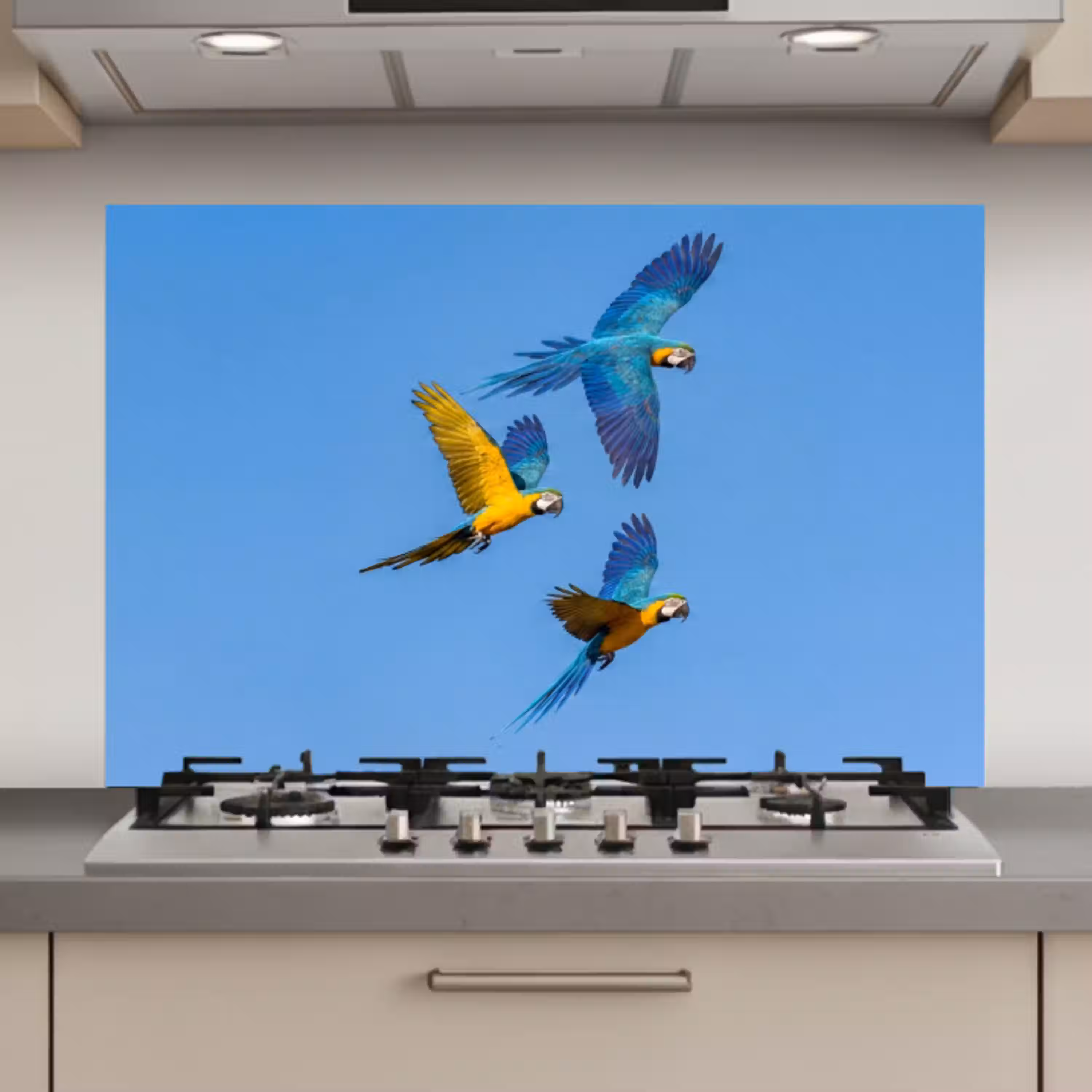 Papagaai - Vliegen - Blauw - Geel keuken achterwand spatscherm klein -3d_website