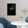 Kolibrie - Zwart - Dieren fotolijst zwart zonder passe partout klein -sfeer4