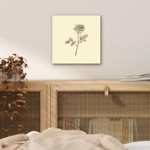 Illustratie - Zwart - Roos aluminium wit klein -sfeer3